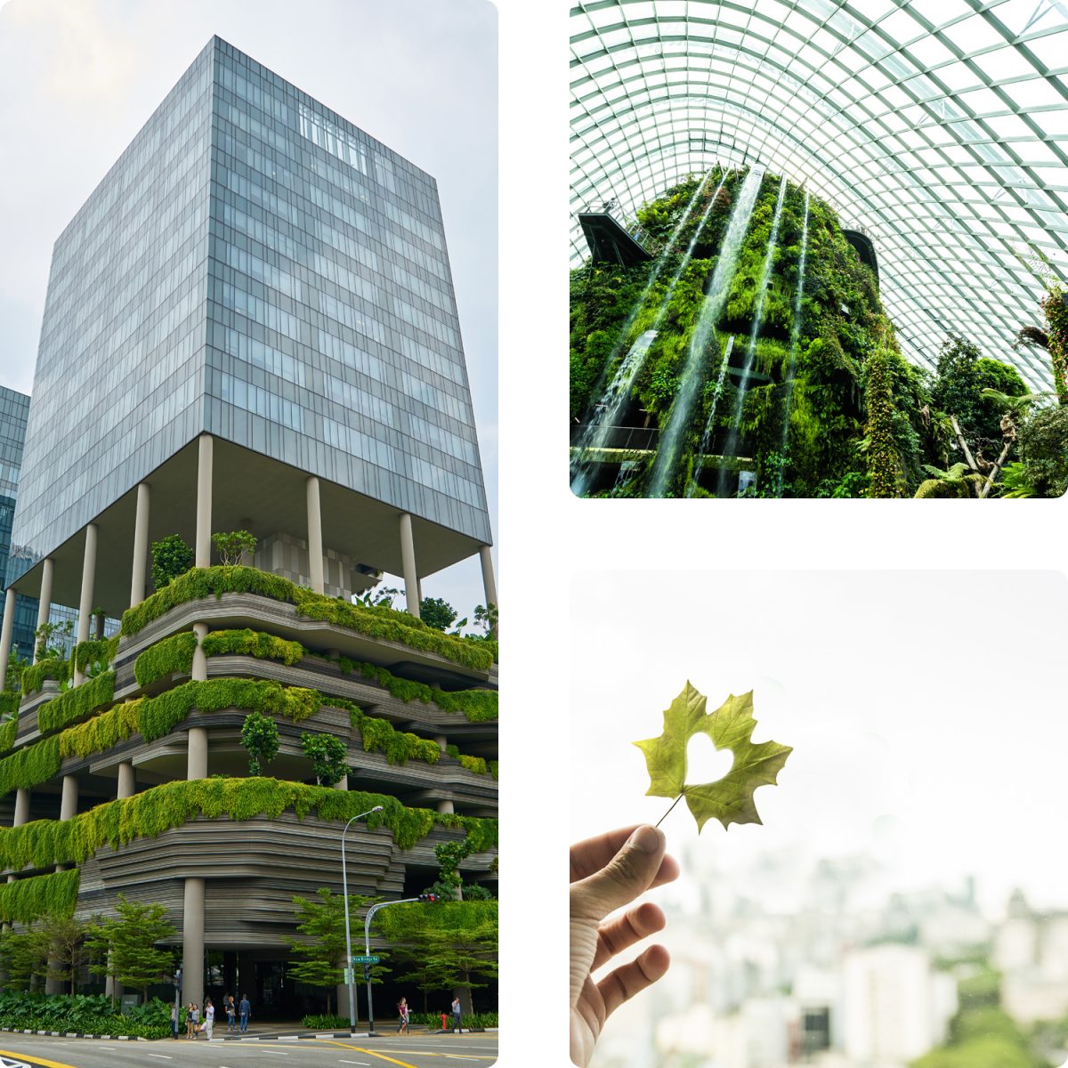 Samelect – Entreprise RSE Saint-Nazaire, acteur durable