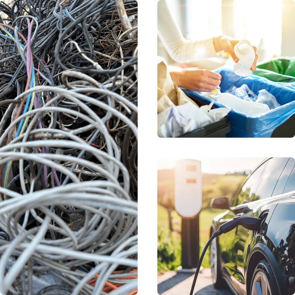 Samelect – Entreprise RSE Saint-Nazaire / Actions sur le terrain